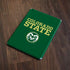 Colorado State University CSU Apple iPad Skin
