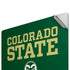 Colorado State University CSU Apple MacBook Pro 16-inch Skin