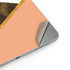Colored Marble Apple iPad Air Skin