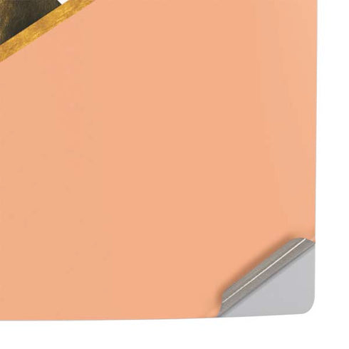 Colored Marble PS5 Pro Console Skin