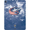 NHL Columbus Blue Jackets Frozen Apple iPad Air Skin