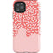 Coral Spring Sprinkles iPhone Cases