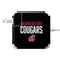 Washington State University Cougars 85W Power Adapter (15 and 17 inch MacBook Pro Charger) Skin