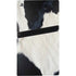 Cow PS5 Pro Disk Console Skin