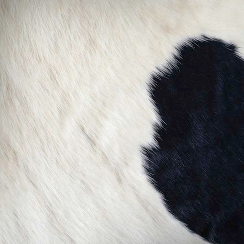Cow Moto G6 Skin