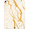 Cracked Marble Apple iPad Air Skin