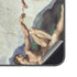 Creation of Adam by Michelangelo Galaxy S24 Plus Skin