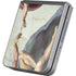 Creation of Adam by Michelangelo Galaxy Z Flip6 Skin