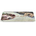 Creation of Adam by Michelangelo iPad Pro 13in M4 (2024) Skin