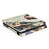 Creation of Adam by Michelangelo PlayStation PS4 Skins