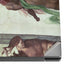 Creation of Adam by Michelangelo Dell XPS Skin