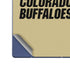 University of Colorado CU Collegiate Text Galaxy Z Fold6 Skin