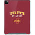 Iowa State University Collegiate Text iPad Cases