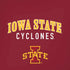 Iowa State University Collegiate Text iPhone XS Pro Case