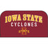 Iowa State University Collegiate Text Nintendo Switch 2 (2025) with Joy-Con Skin