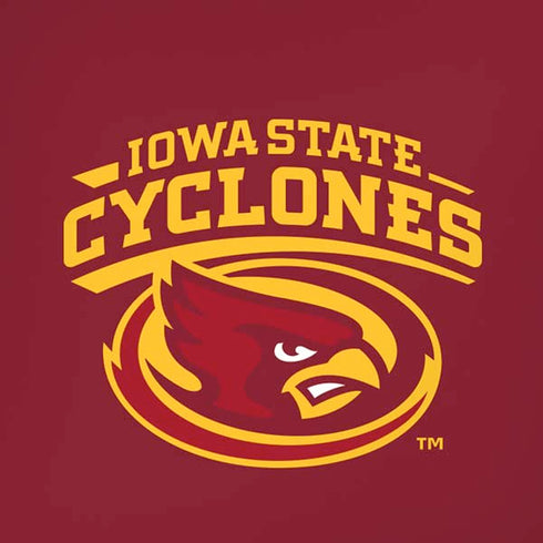 Iowa State University Cyclones iPhone XR Pro Case