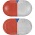 Czech Republic Flag Distressed Galaxy Buds Plus Skin