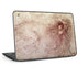 da Vinci - Sketch of a roaring lion by Da Vinci HP Chromebook Skin