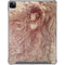 da Vinci - Sketch of a roaring lion by Da Vinci iPad Cases