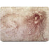 da Vinci - Sketch of a roaring lion by Da Vinci Apple MacBook Air Skin