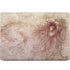 da Vinci - Sketch of a roaring lion by Da Vinci MacBook Skins