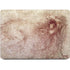 da Vinci - Sketch of a roaring lion by Da Vinci Apple MacBook Pro 16-inch Skin
