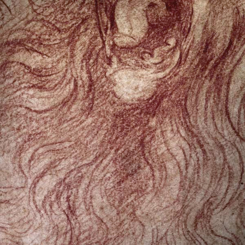 da Vinci - Sketch of a roaring lion by Da Vinci Moto G6 Skin
