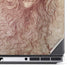 da Vinci - Sketch of a roaring lion by Da Vinci Dell Precision Skin
