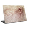 da Vinci - Sketch of a roaring lion by Da Vinci Laptop Skins