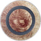 da Vinci - Sketch of a roaring lion by Da Vinci Wireless Charger Skin