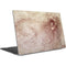 da Vinci - Sketch of a roaring lion by Da Vinci Dell XPS Skin
