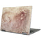 da Vinci - Sketch of a roaring lion by Da Vinci Yoga 710 14in Skin
