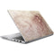 da Vinci - Sketch of a roaring lion by Da Vinci HP ZBook Fury 16 G10 Skin