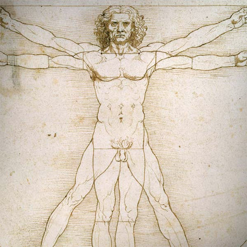 Da Vinci - The Proportions of Man by Da Vinci Dell Latitude Skin