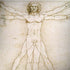 Da Vinci - The Proportions of Man by Da Vinci Dell Latitude Skin