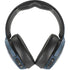 Looney Tunes Daffy Duck Thats All Folks Skullcandy Venue Skin