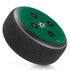 NHL Dallas Stars Distressed Amazon Echo Dot Skin