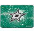 NHL Dallas Stars Frozen HP Chromebook Skin
