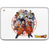 Dragon Ball Super Group HP Chromebook Skin