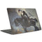 Death Dealer on Horseback by Frazetta MacBook Skins