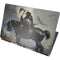 Death Dealer on Horseback by Frazetta Dell Precision Skin