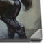 Death Dealer on Horseback by Frazetta Dell XPS Skin
