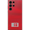 Denmark Soccer Flag Galaxy Skins