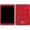 Denmark Soccer Flag iPad Skins