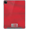 Denmark Soccer Flag iPad Cases