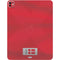 Denmark Soccer Flag iPad Pro 13in M4 (2024) Skin