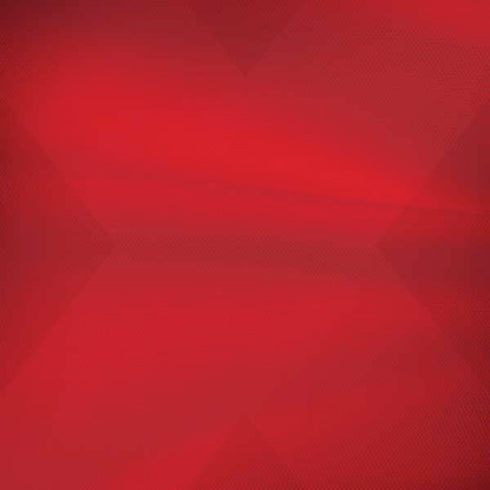 Denmark Soccer Flag Moto G6 Skin