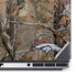 NFL Denver Broncos Realtree AP Camo Dell Precision Skin