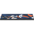 NFL Denver Broncos Tropical Print Galaxy Skins