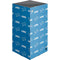 NFL Detroit Lions Blitz Series XBox Series X Digital Edition Console Skin